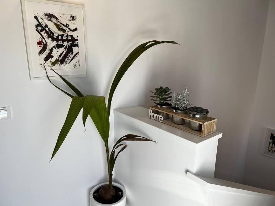 2B-Precioso Apartamento En Pleno Centro. A Estreno Alcazar de San Juan Luaran gambar
